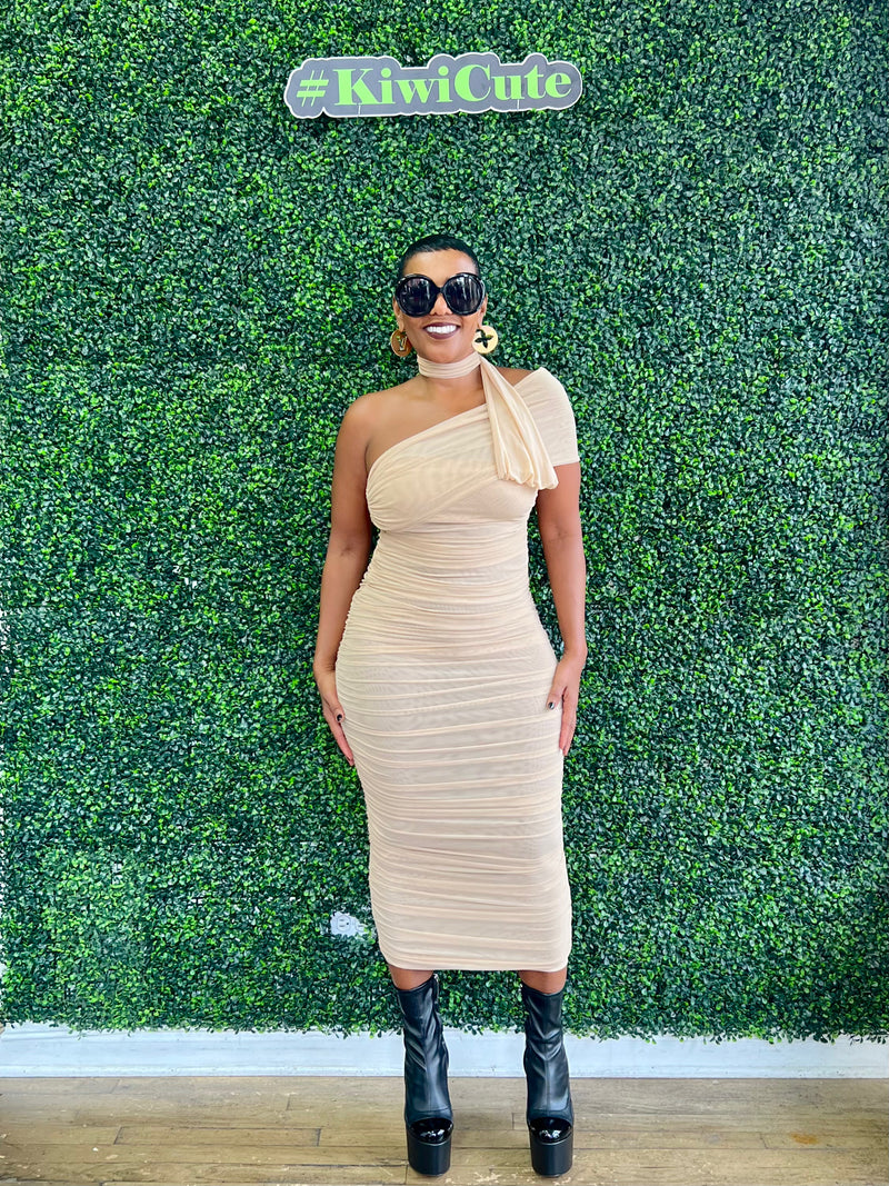 Lavina Shear Dress
