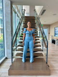 Elysian Denim Jumpsuit